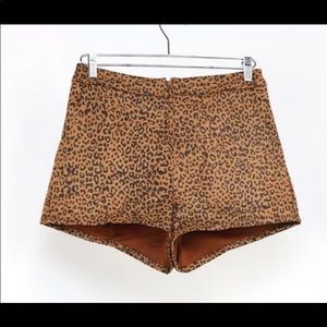 Midrise Leopard Print Shorts